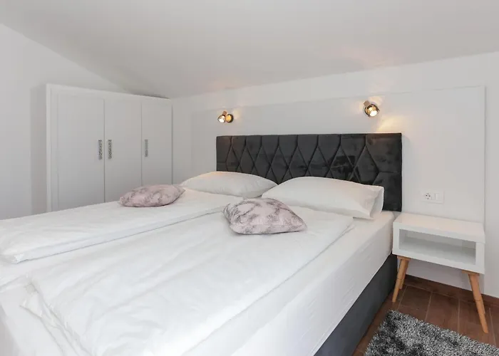 Niko * Τρογκίρ